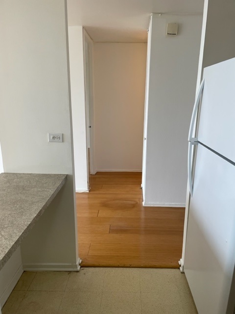 2605 S Indiana Avenue Unit: 1504