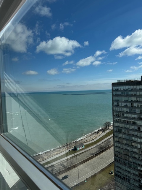 4800 S Chicago Beach Drive Unit: 2710N