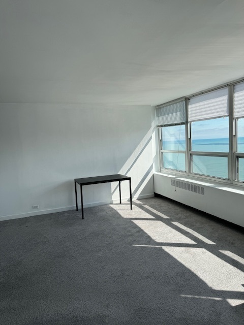 4800 S Chicago Beach Drive Unit: 2710N
