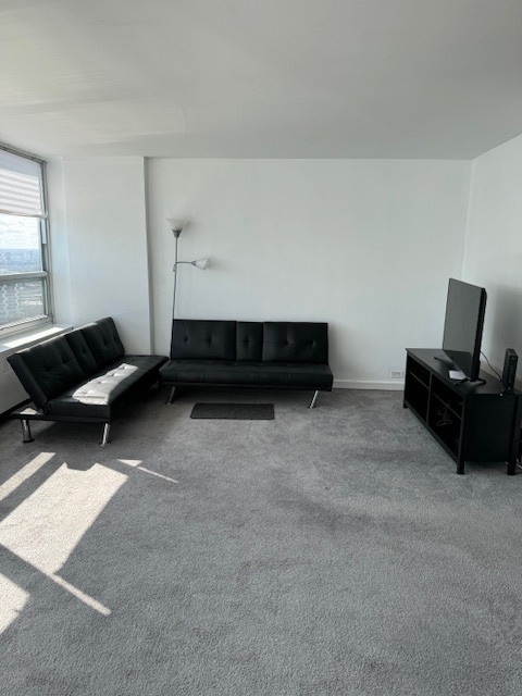 4800 S Chicago Beach Drive Unit: 2710N