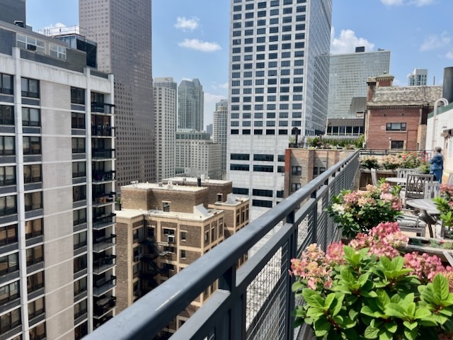 850 N Dewitt Place Unit: 16I