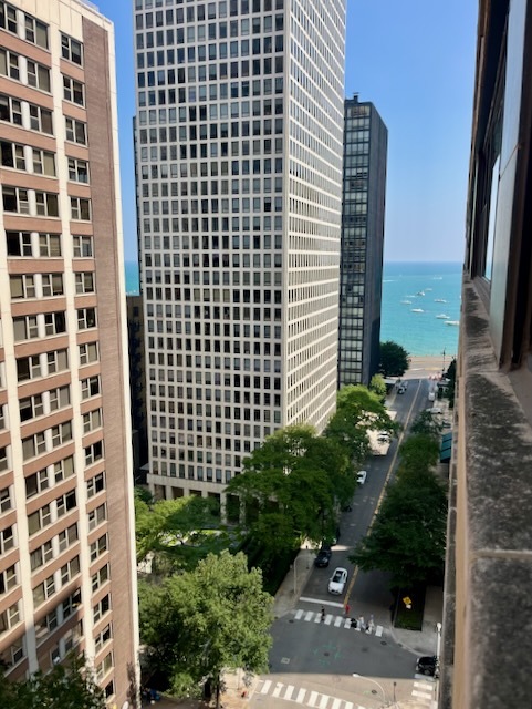 850 N Dewitt Place Unit: 16I