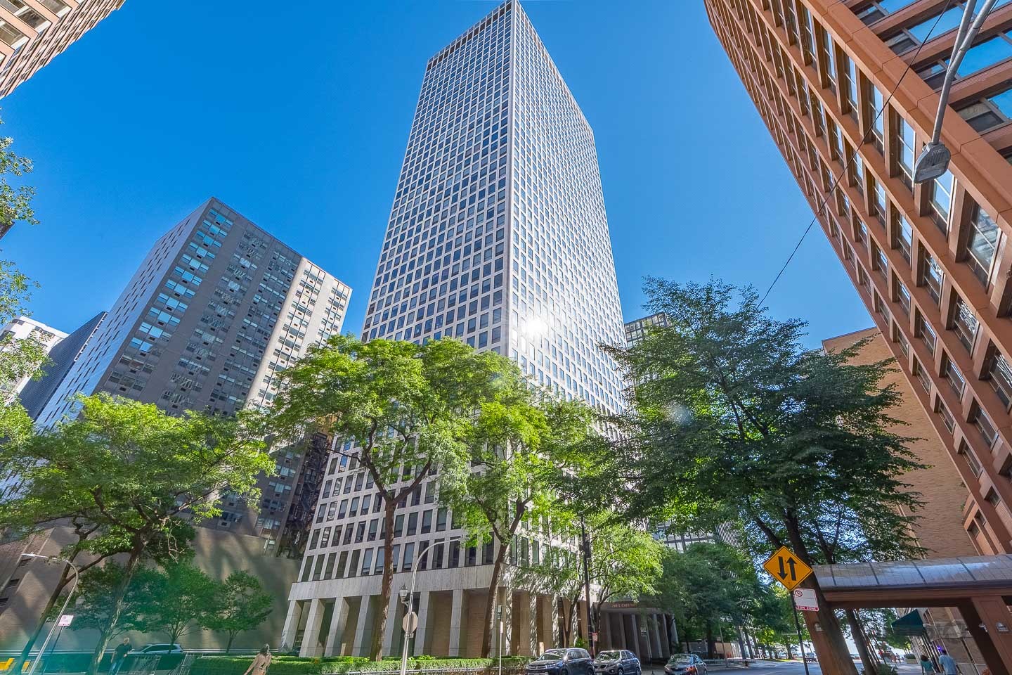 260 E CHESTNUT Street Unit: 3902