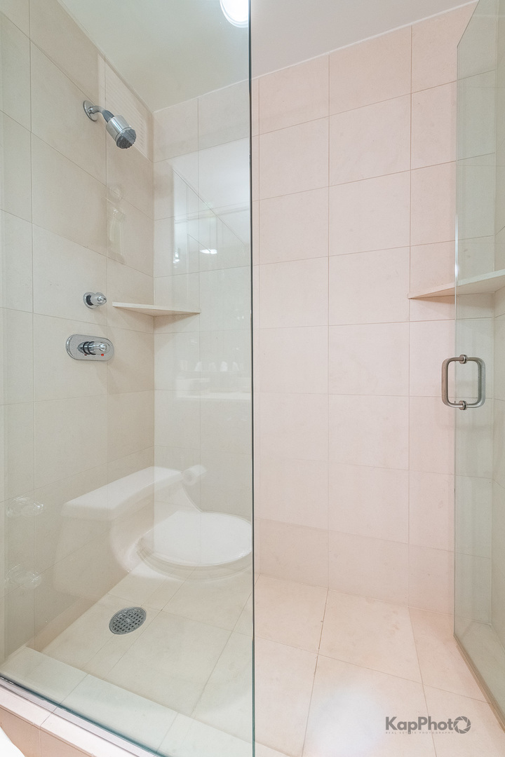260 E CHESTNUT Street Unit: 3902