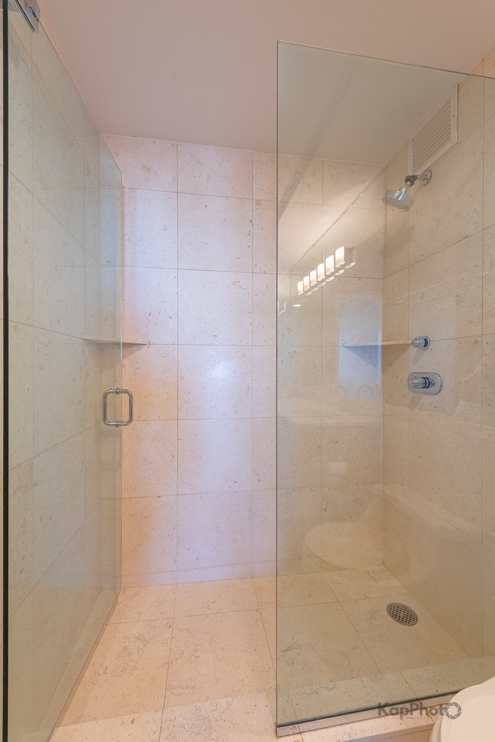 260 E CHESTNUT Street Unit: 3902