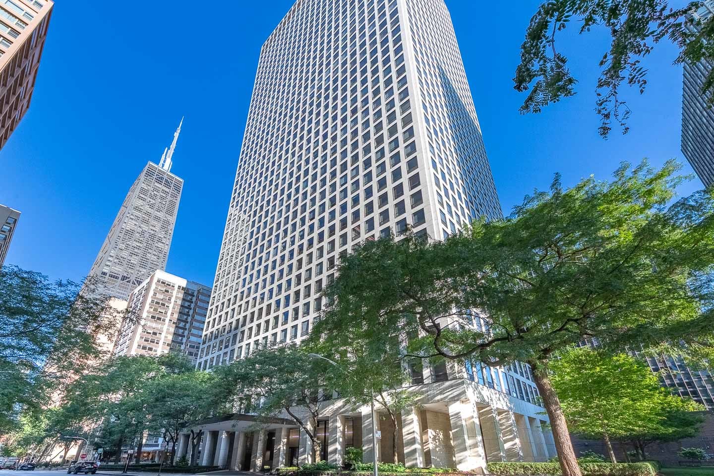 260 E CHESTNUT Street Unit: 3902