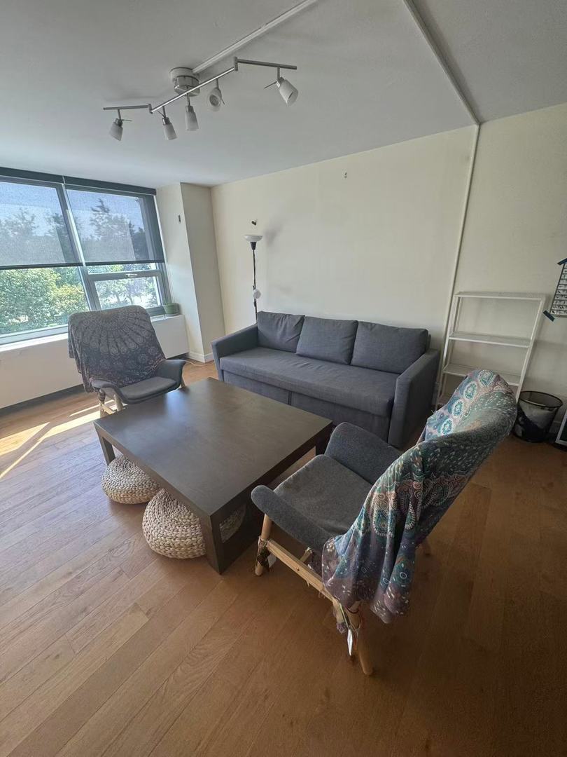 1700 E 56th Street Unit: 409