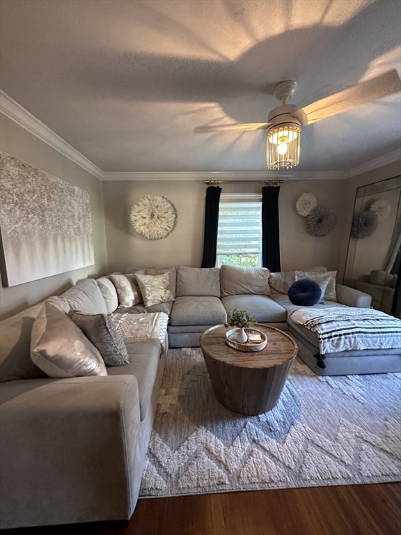 23 Summer St # 3