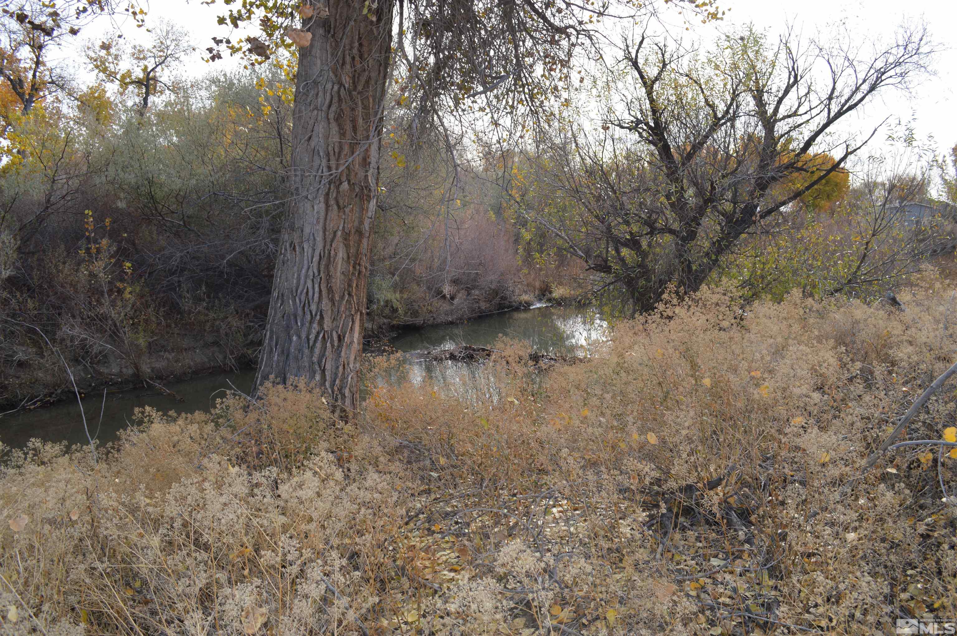 1365 River View