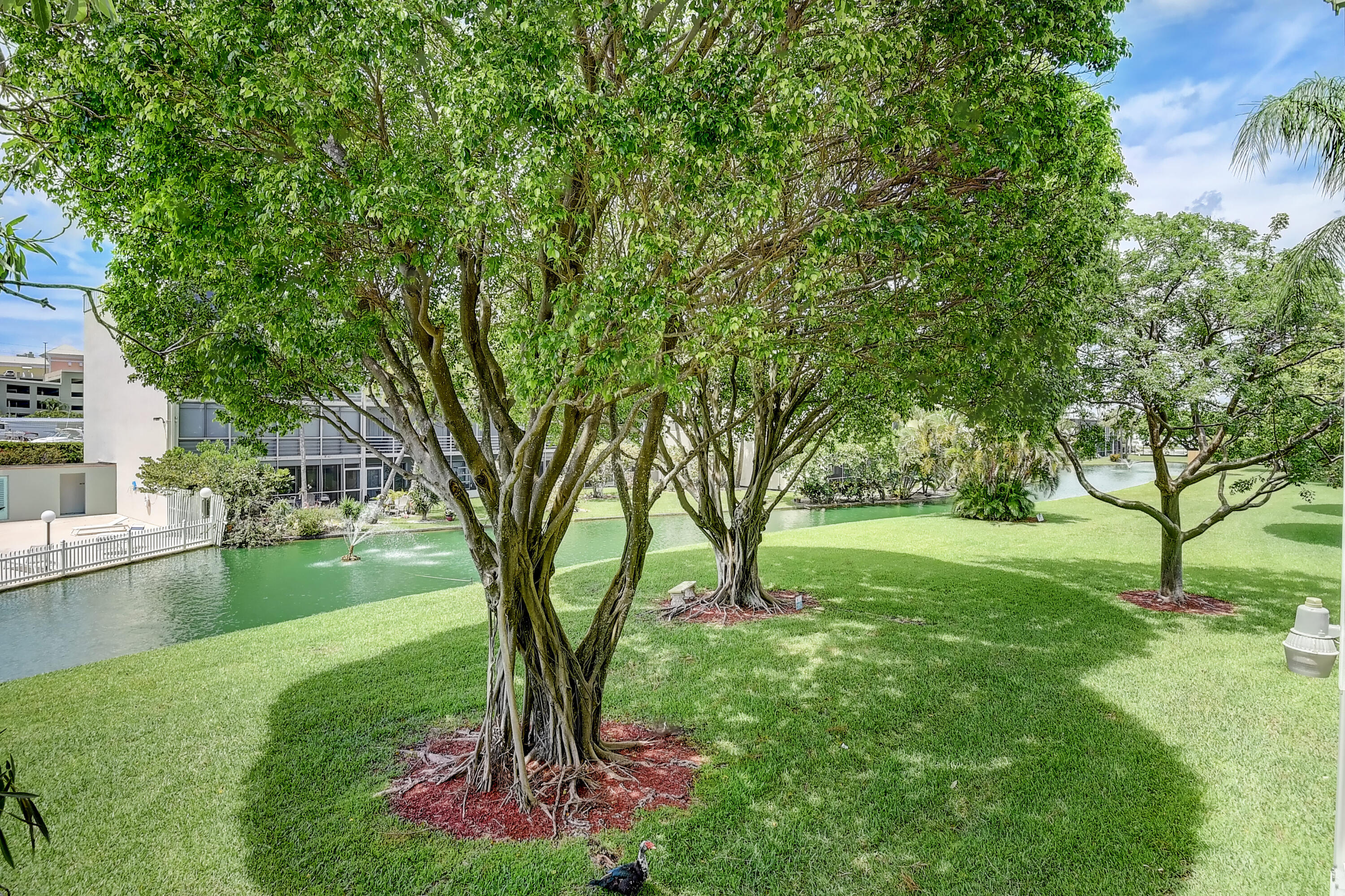 890 N Federal Highway Unit: 206
