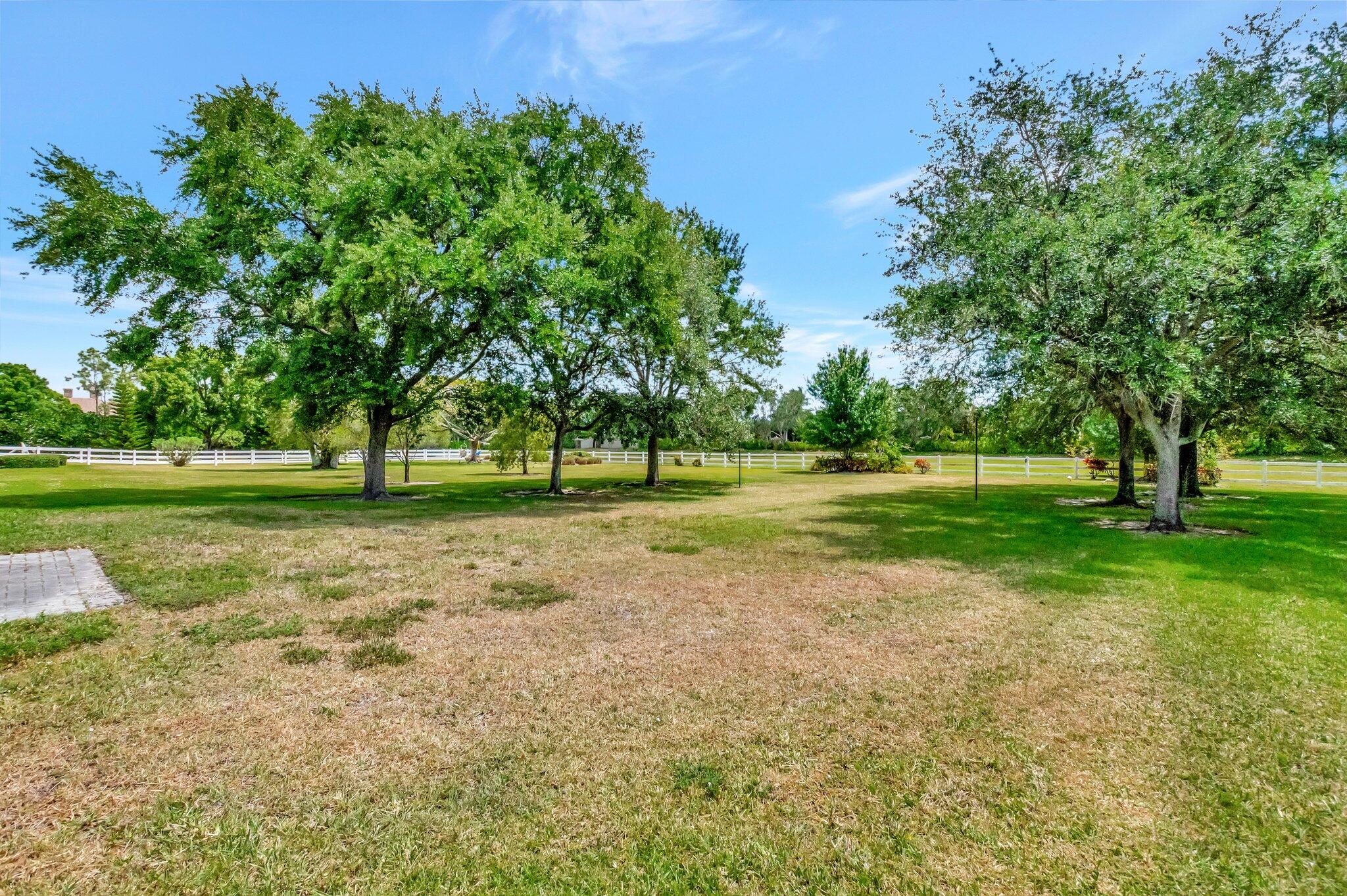 8950 Equus Circle