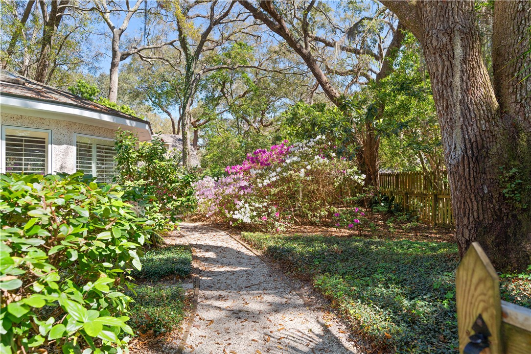 305 Mulberry Way