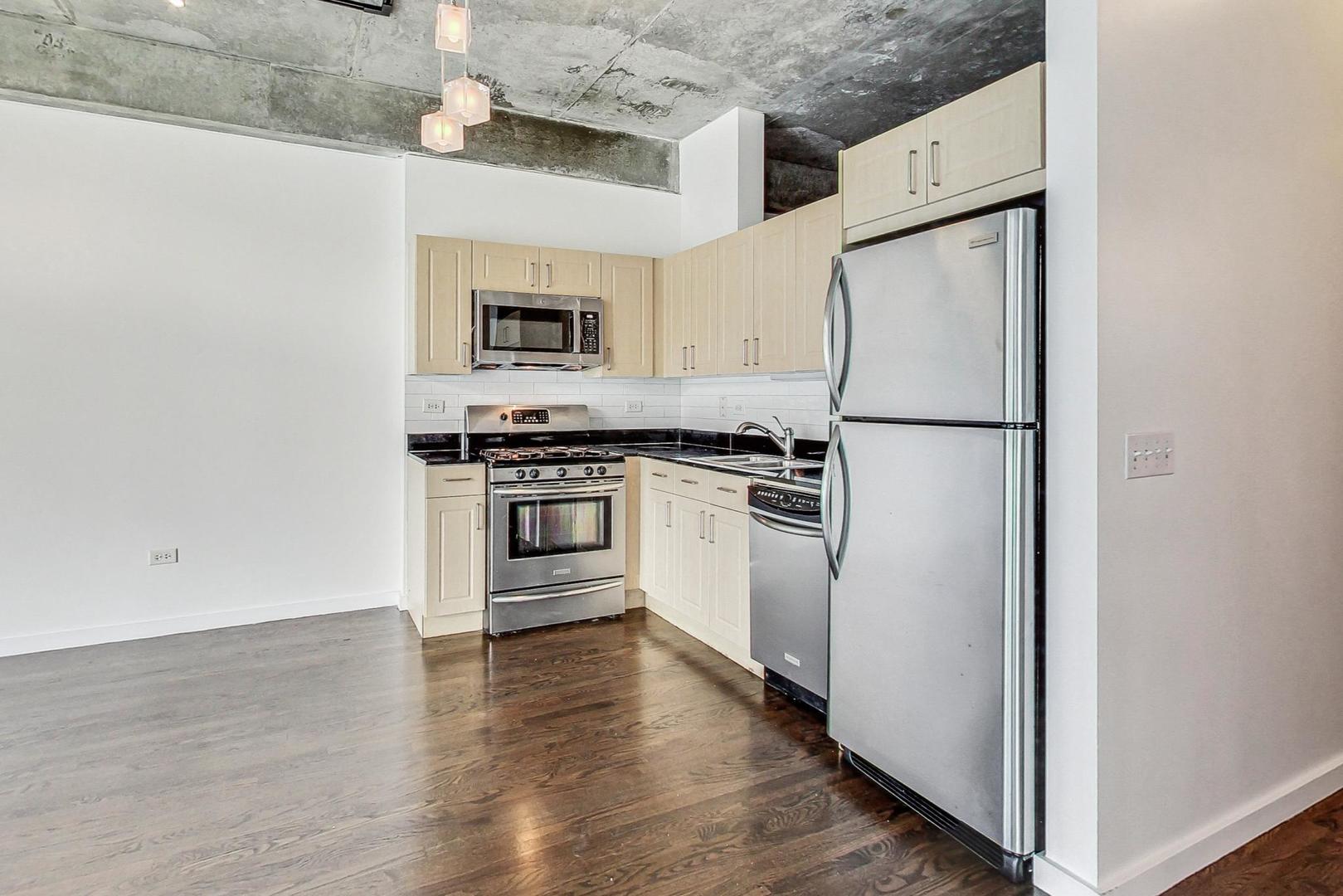 1620 S Michigan Avenue Unit: 309