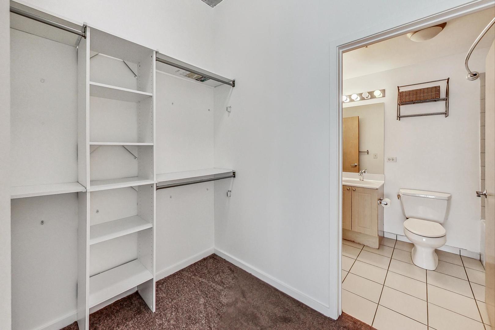 1620 S Michigan Avenue Unit: 309