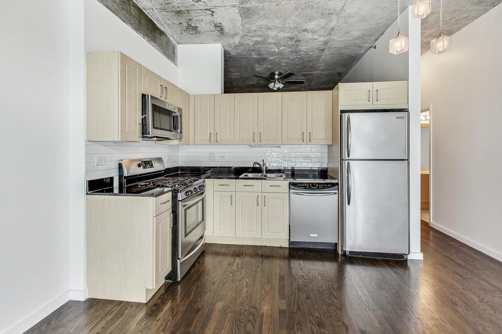 1620 S Michigan Avenue Unit: 309