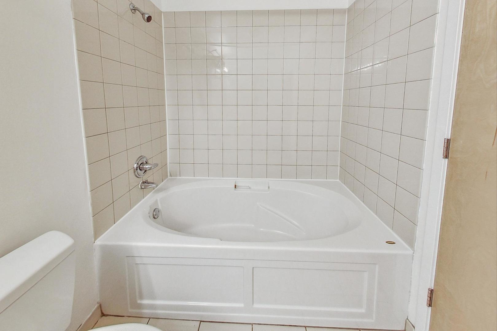 1620 S Michigan Avenue Unit: 309