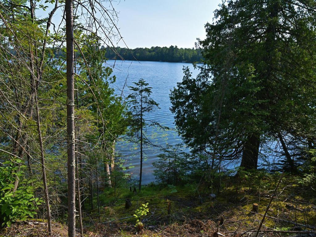 53550 Little Bear Trail