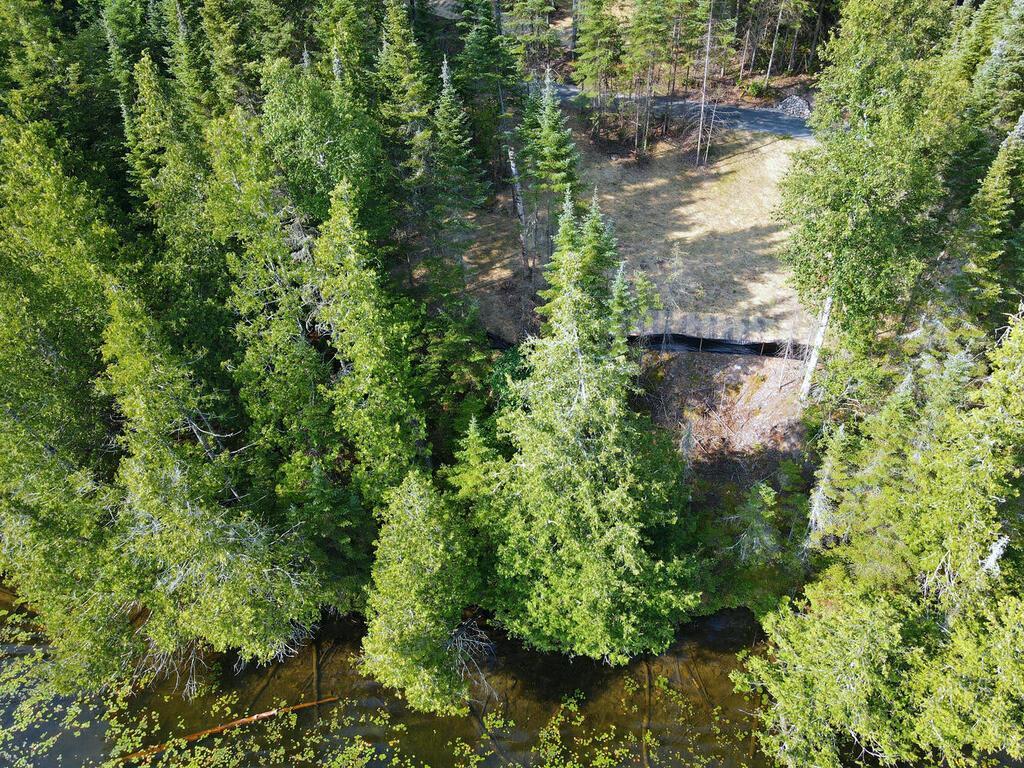 53550 Little Bear Trail