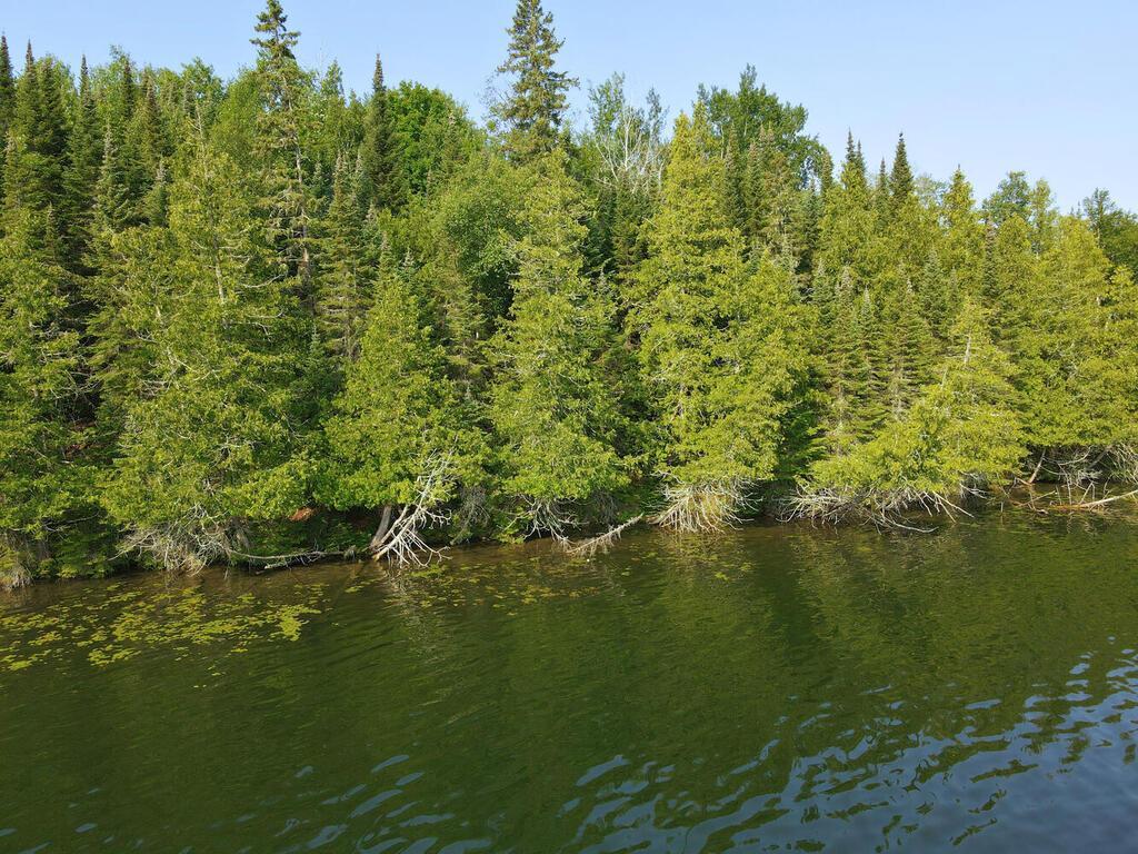 53550 Little Bear Trail