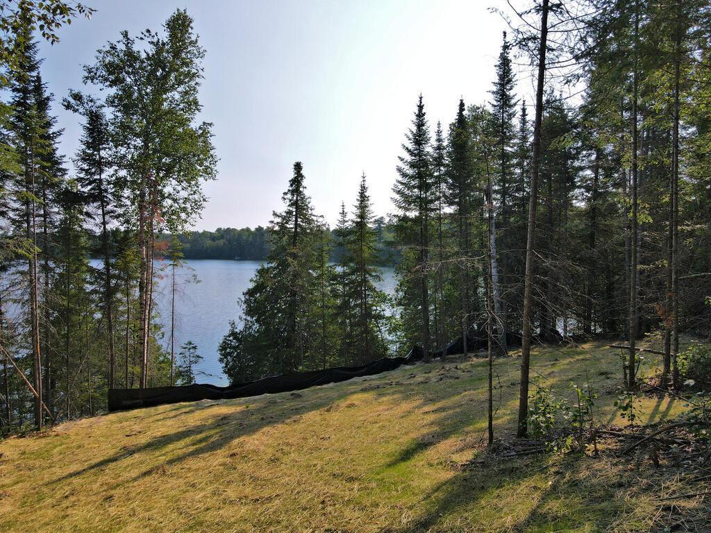 53550 Little Bear Trail