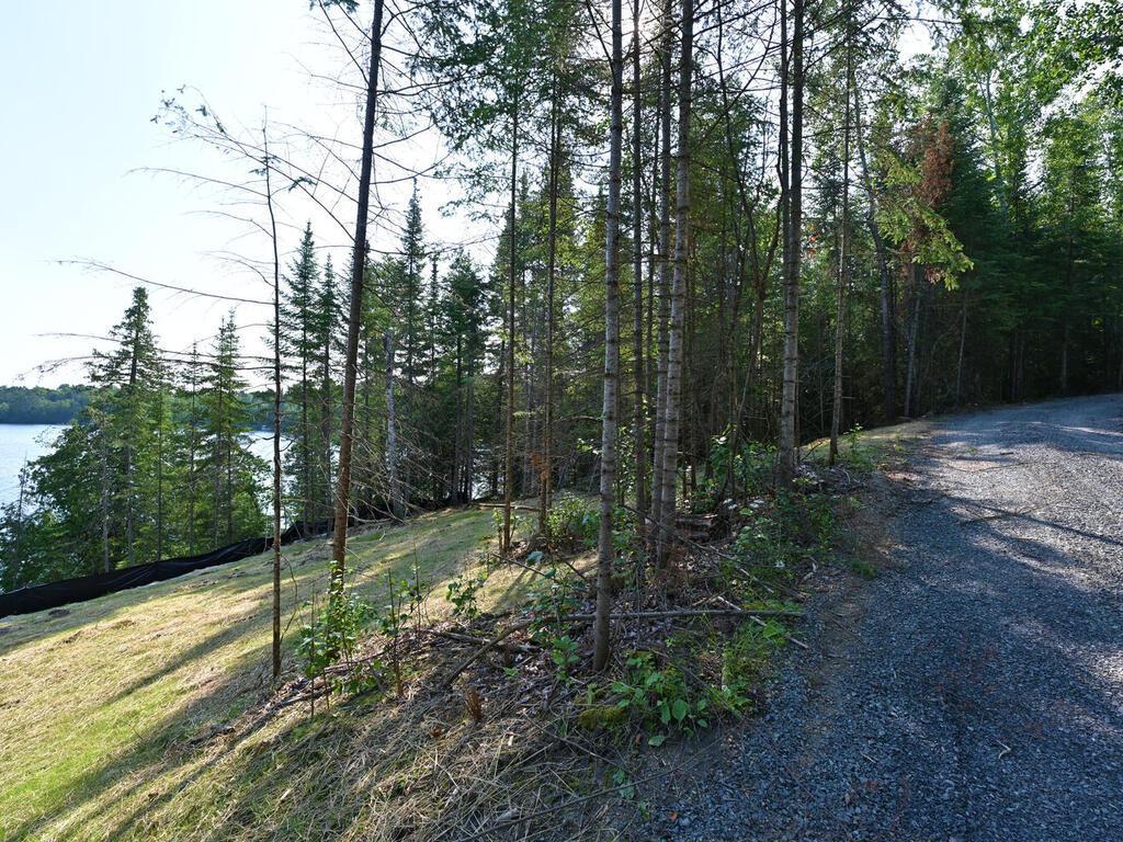 53550 Little Bear Trail