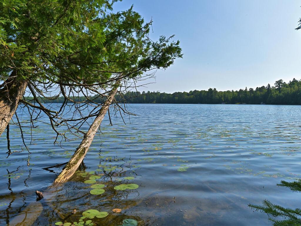 53550 Little Bear Trail