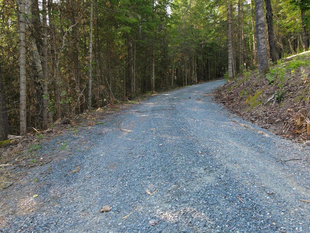 53550 Little Bear Trail