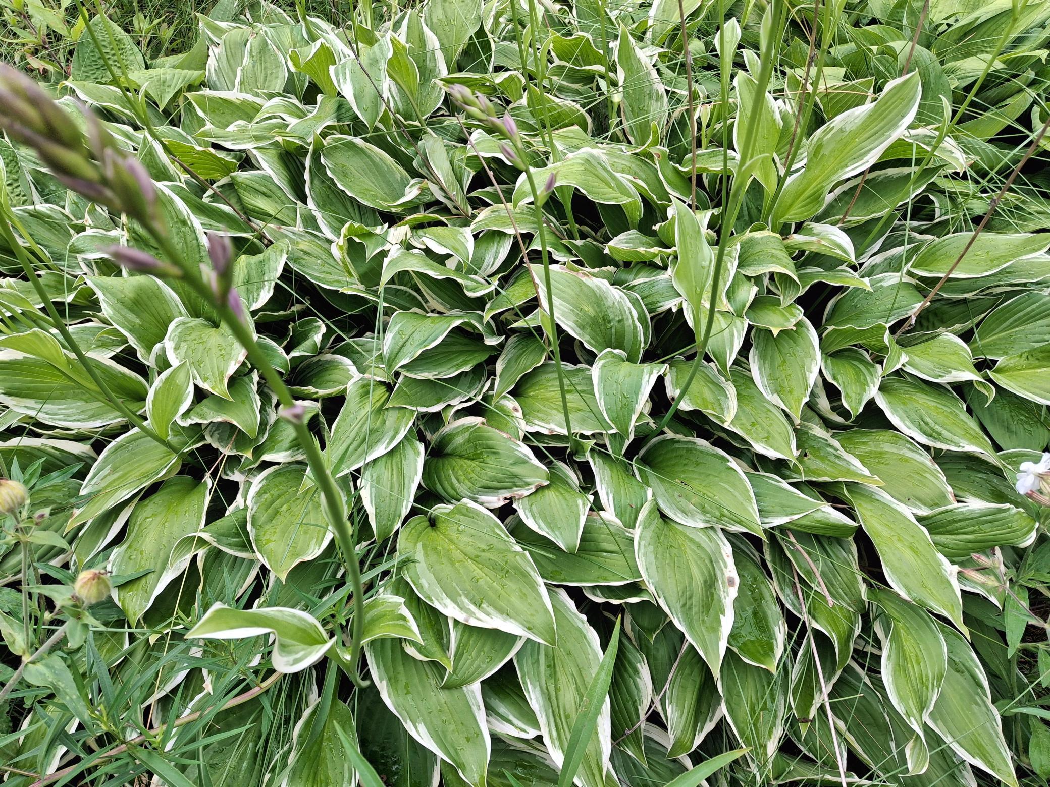 4075 State Highway 38