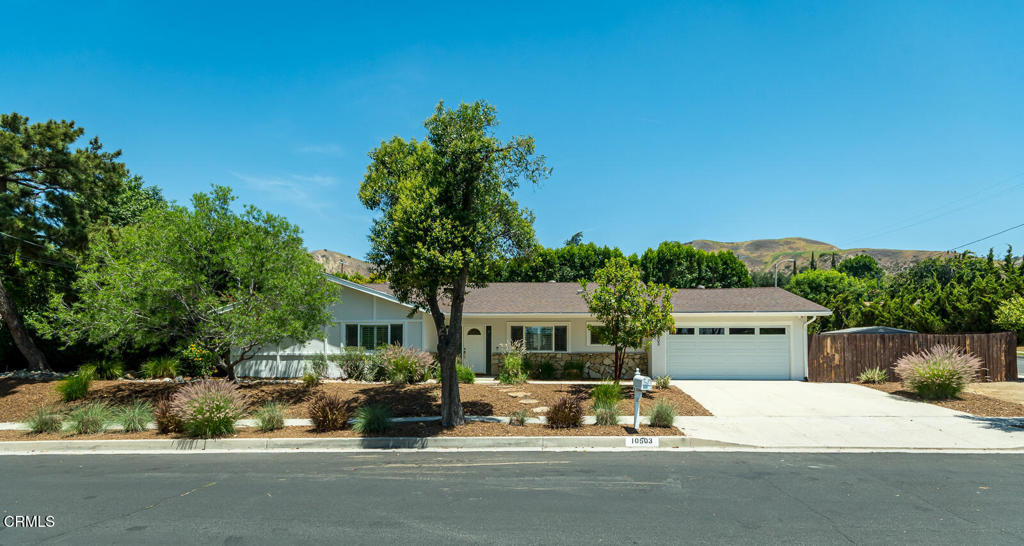 10503 Jimenez Street