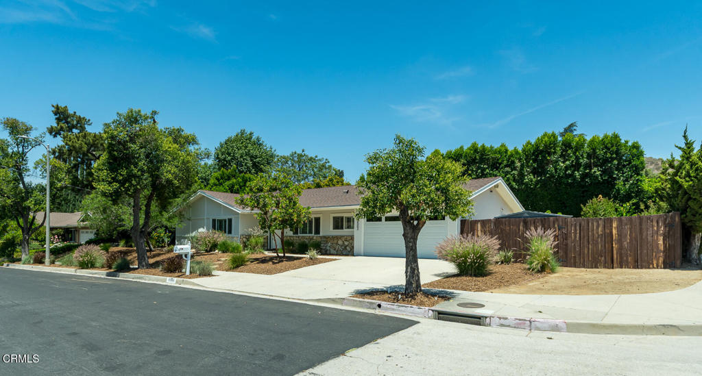 10503 Jimenez Street