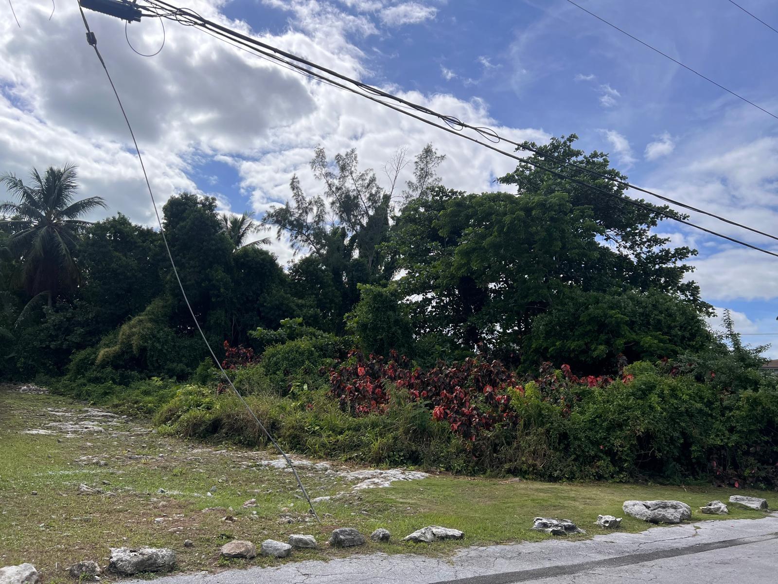 GLENISTON GARDENS Unit: 12