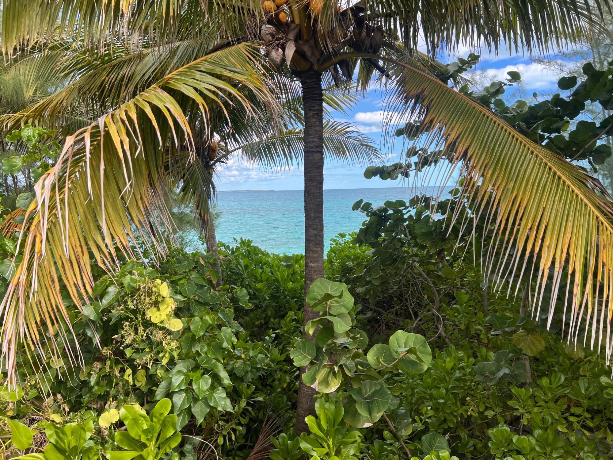 CHANCERY LANE OFF EASTERN Unit: Lot 49