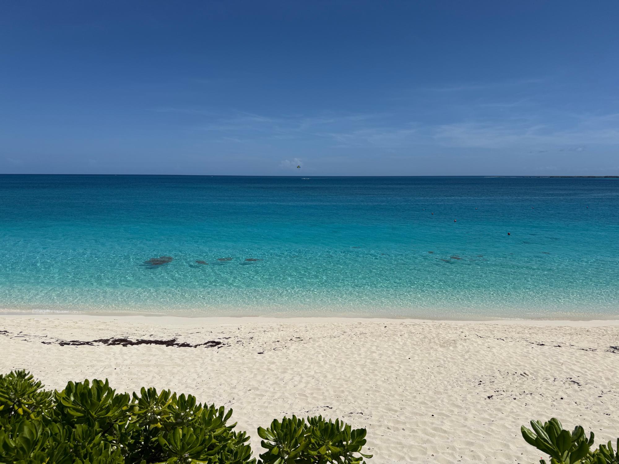 12 MIRAMAR PI RENTAL