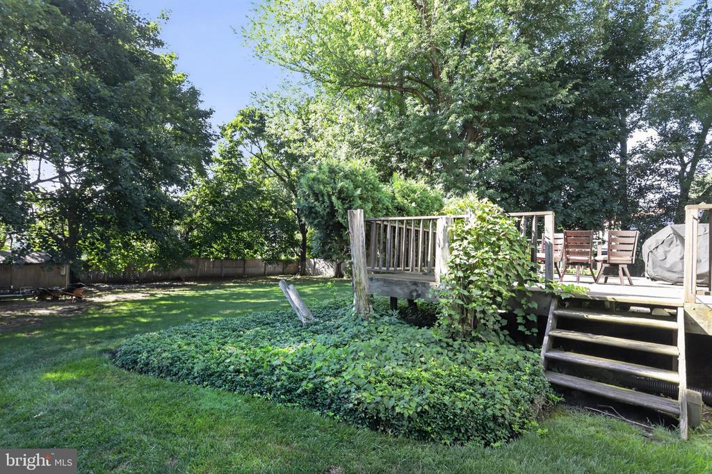 17 SASSAFRAS DRIVE