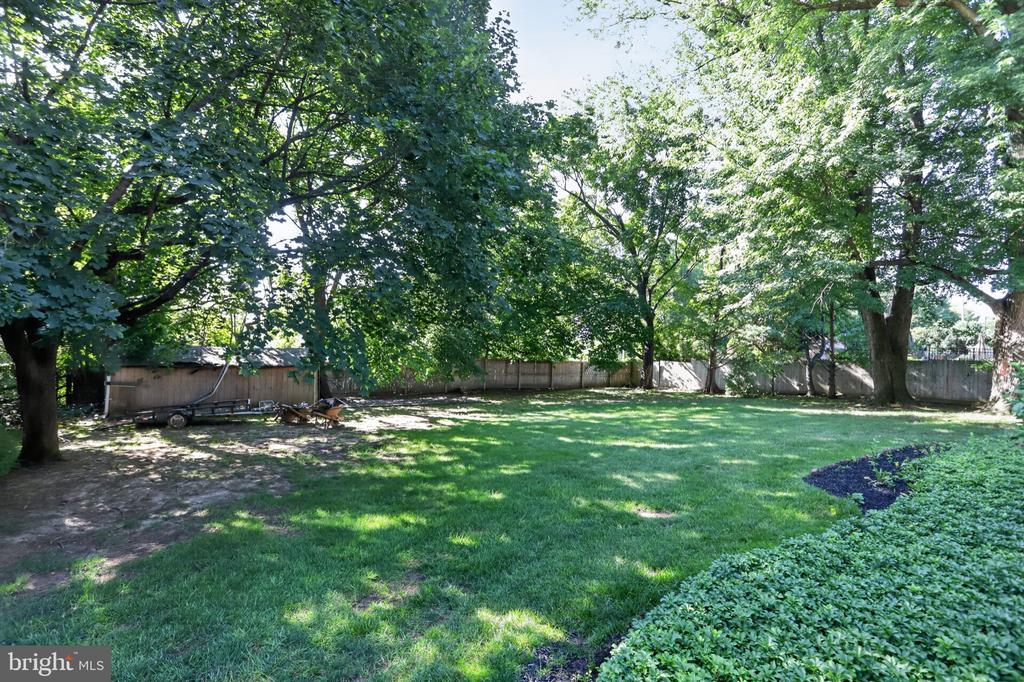 17 SASSAFRAS DRIVE