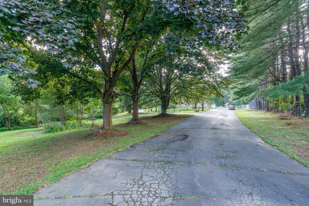 1135 ROMSEY DRIVE