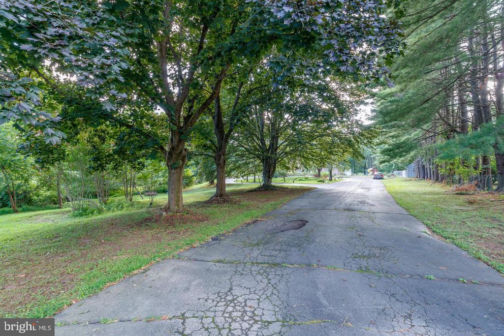1135 ROMSEY DRIVE