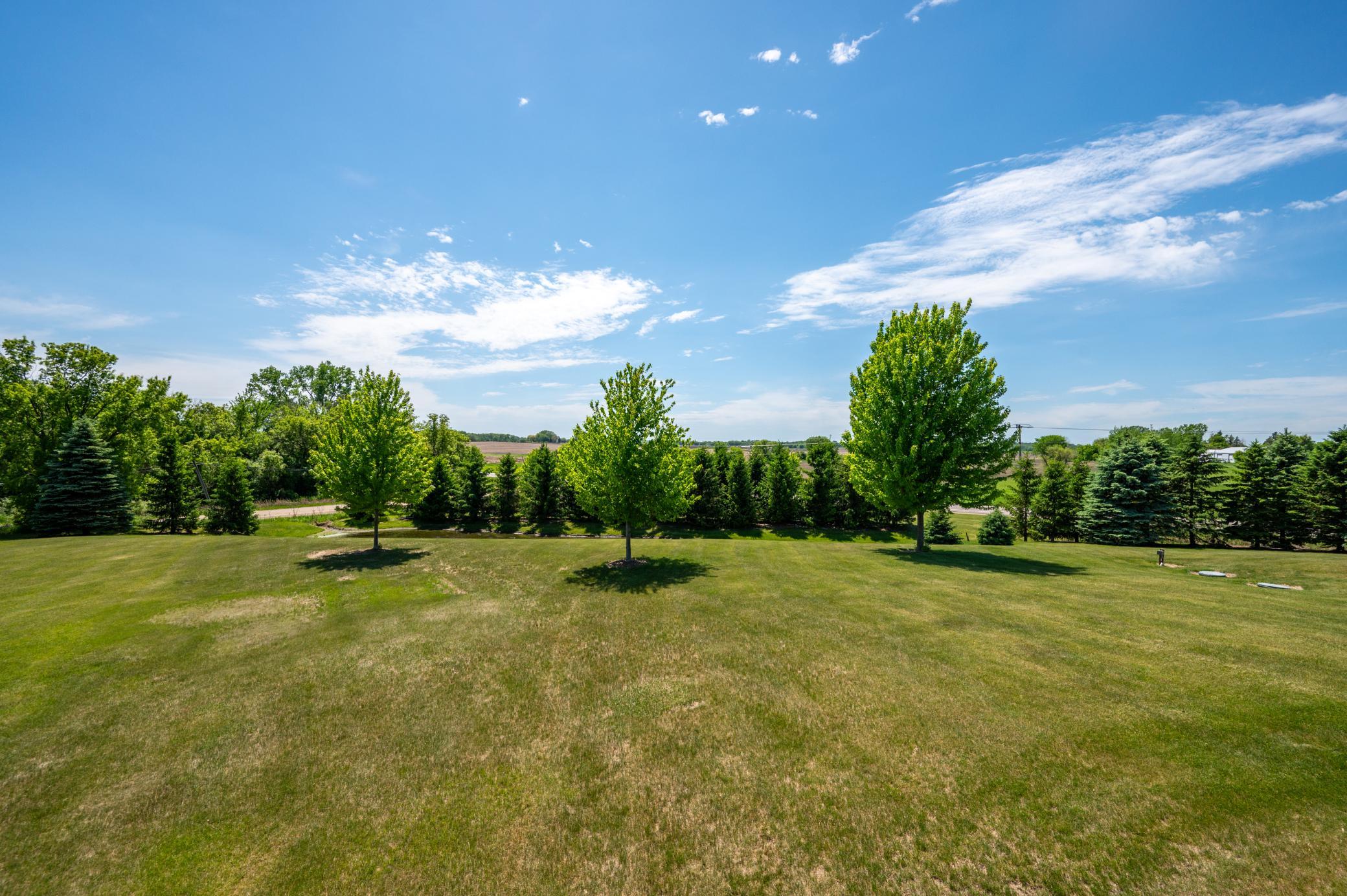 9015 Schutte Court