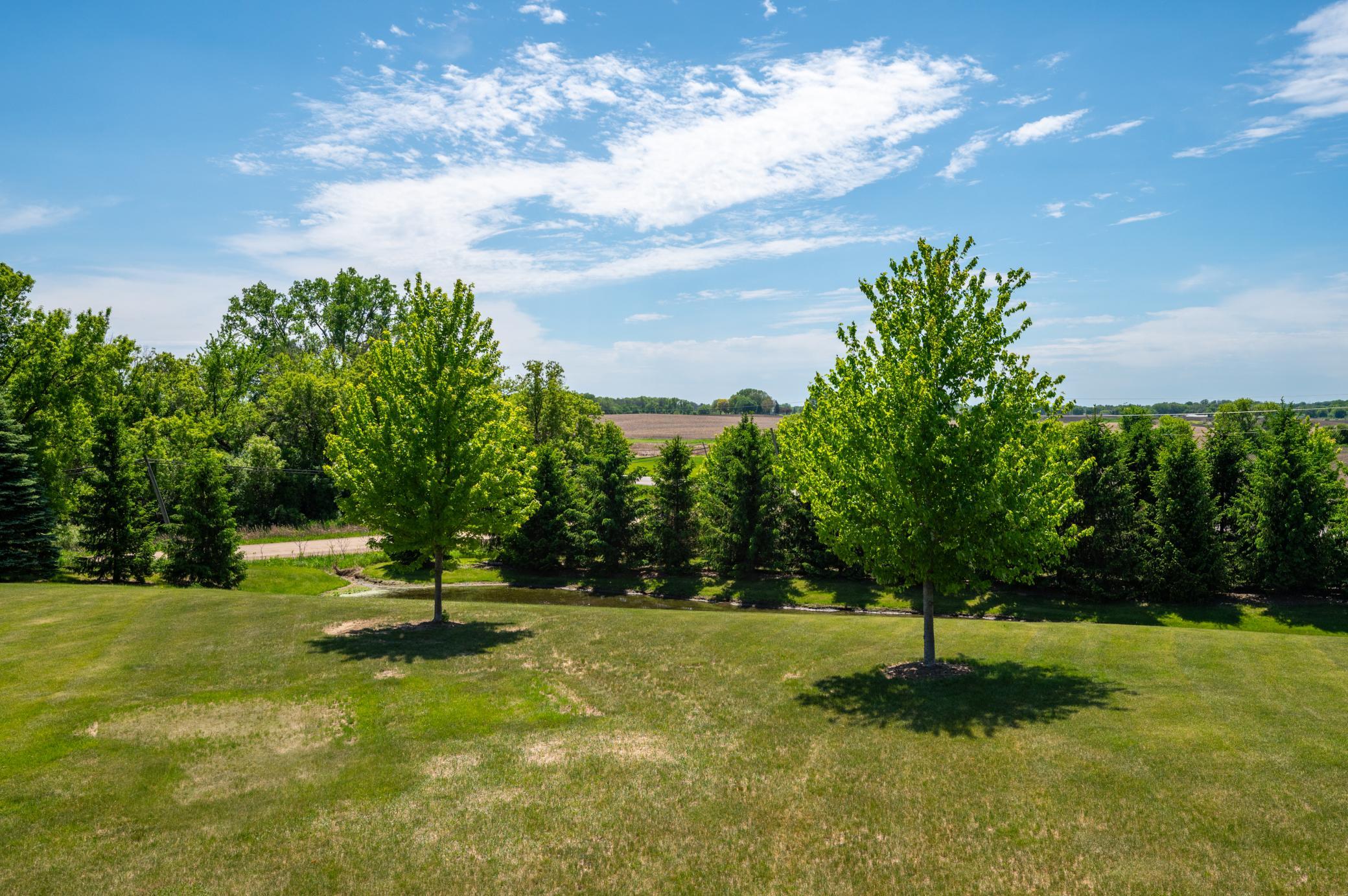 9015 Schutte Court