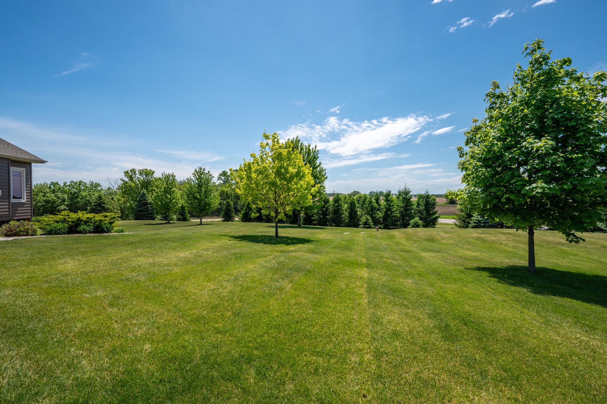 9015 Schutte Court