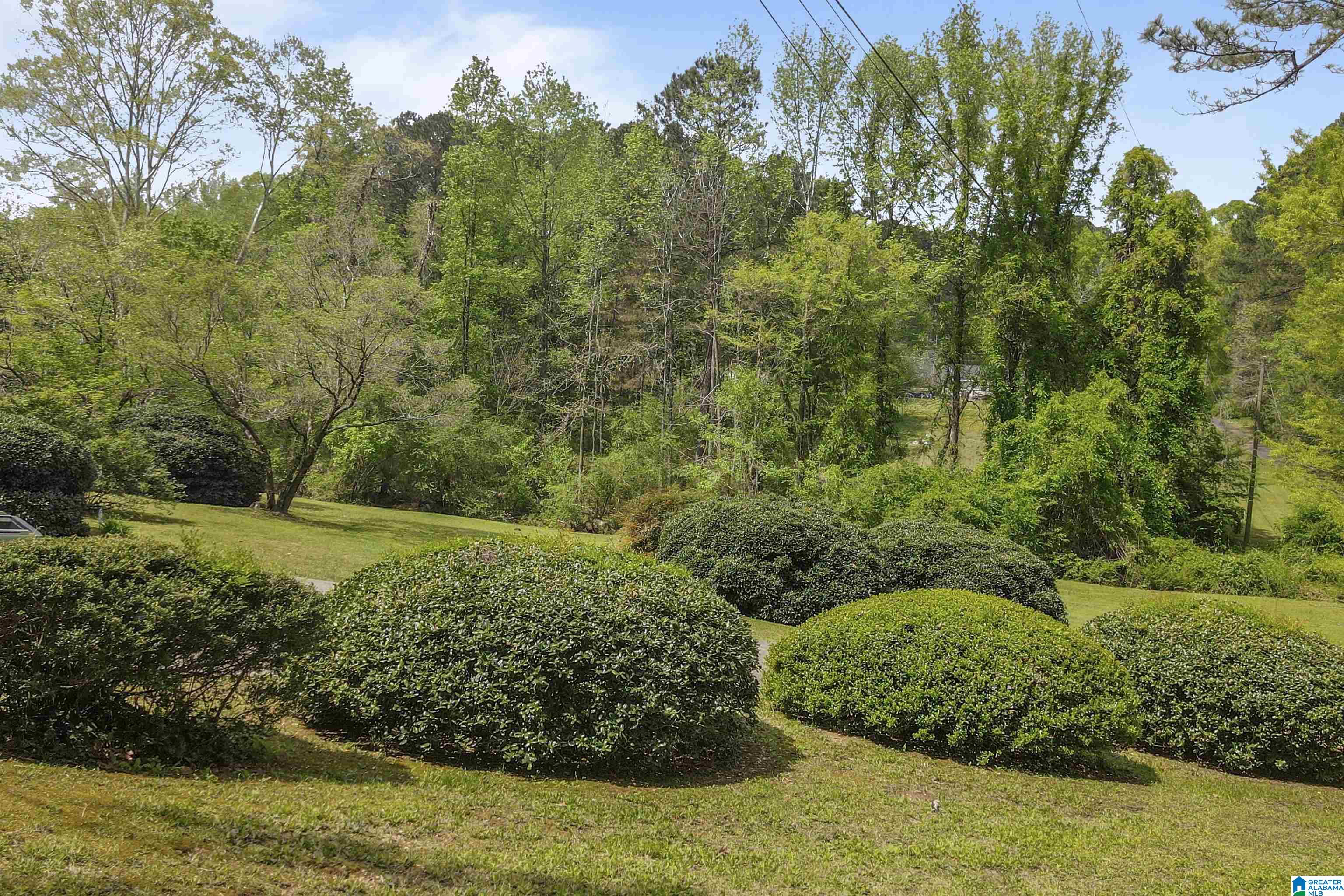 5445 OLD SPRINGVILLE ROAD