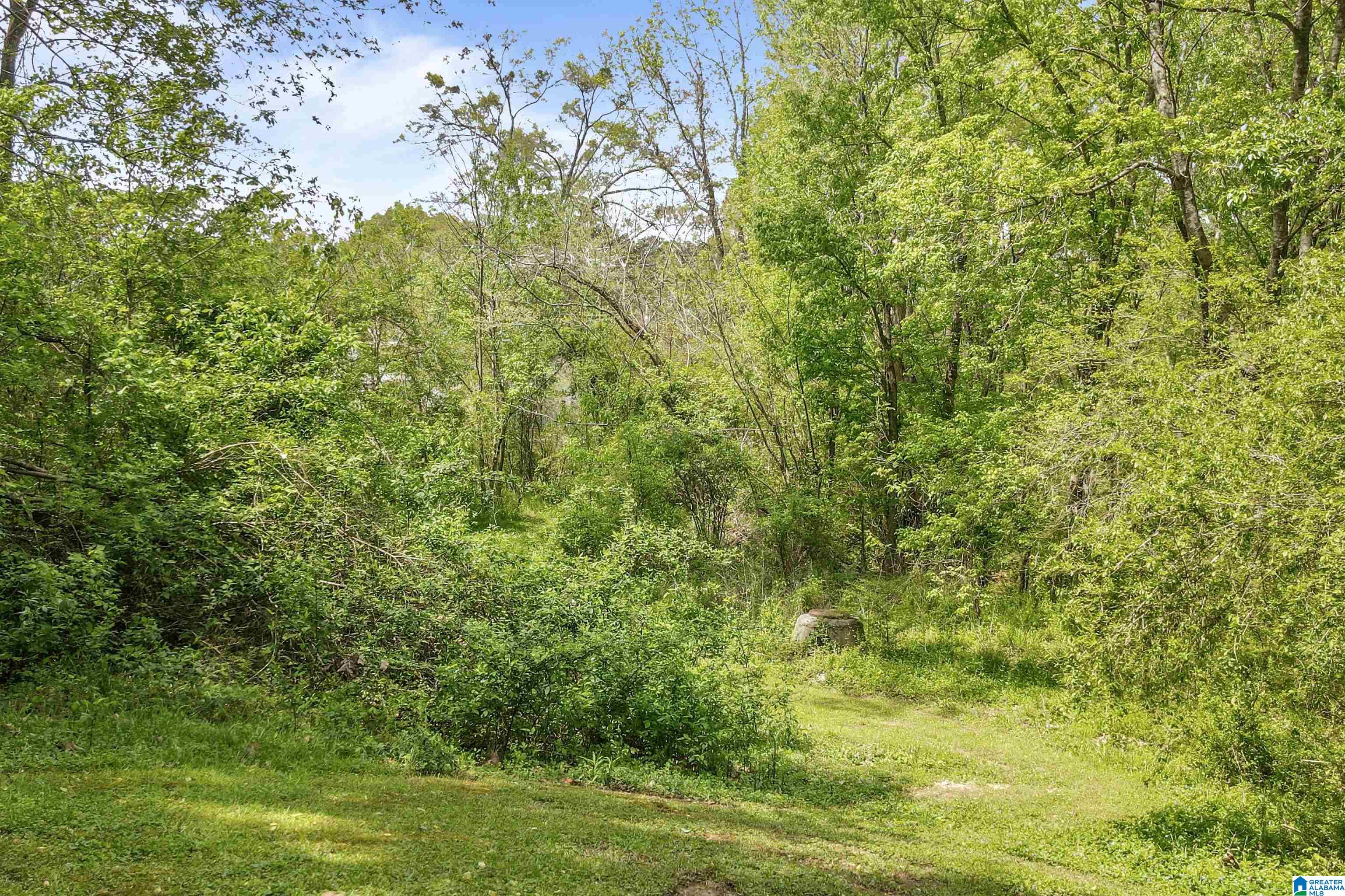 5445 OLD SPRINGVILLE ROAD
