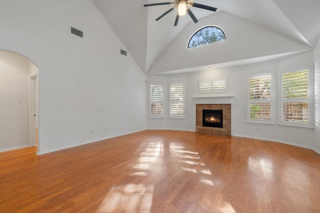 908 Golden Palomino CT