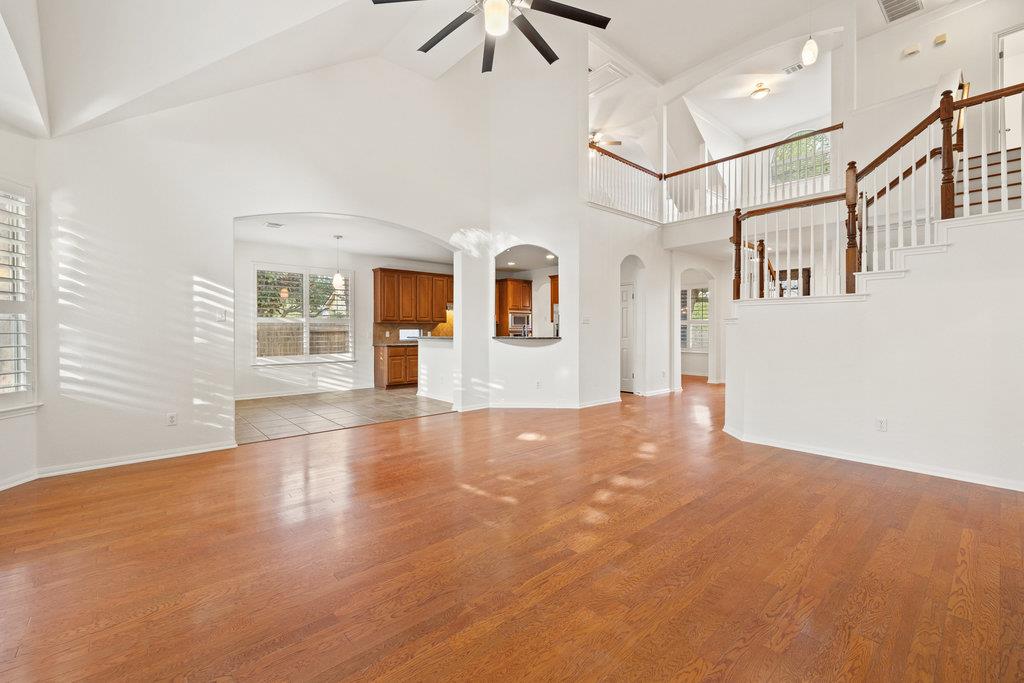 908 Golden Palomino CT