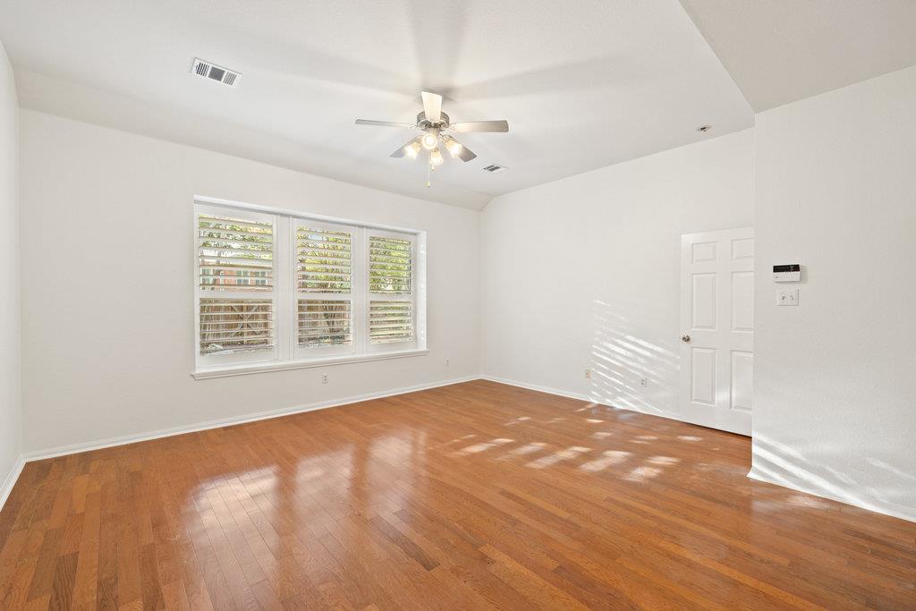 908 Golden Palomino CT