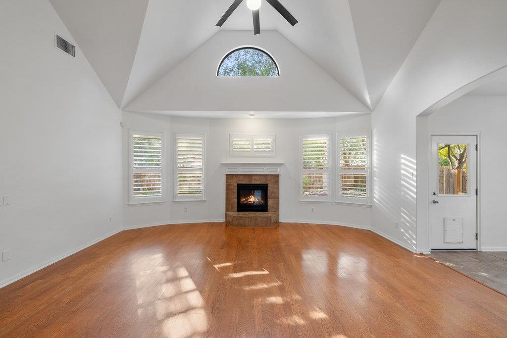 908 Golden Palomino CT