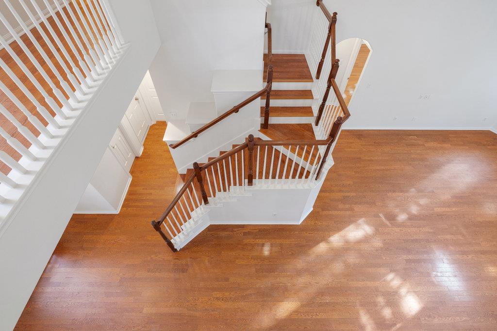 908 Golden Palomino CT