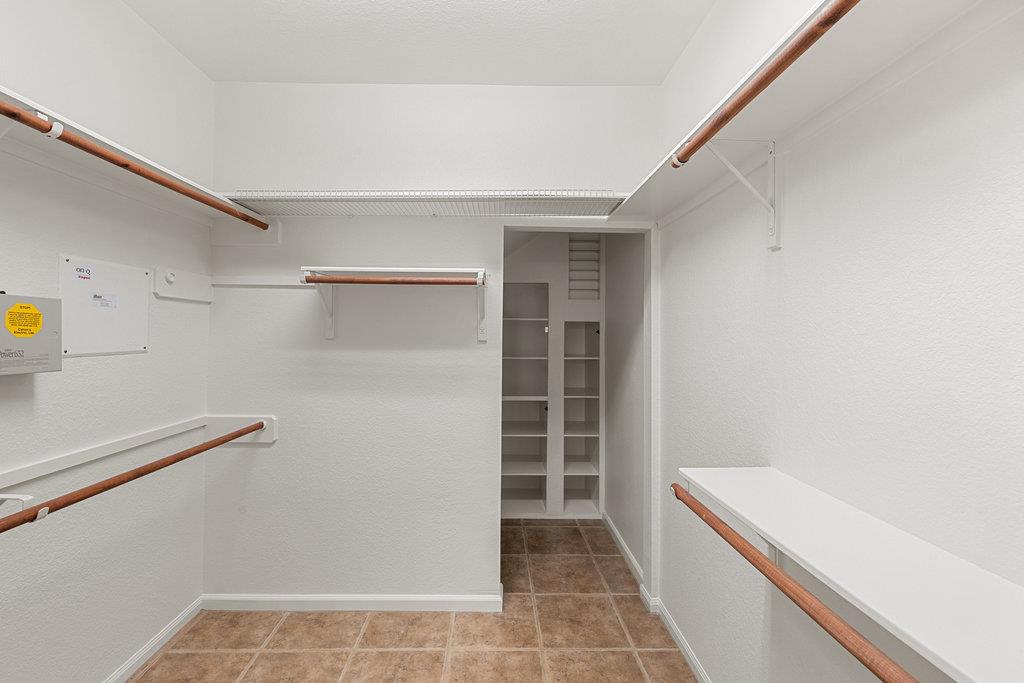 908 Golden Palomino CT