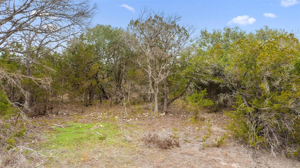 5301 Spring Preserve TRL