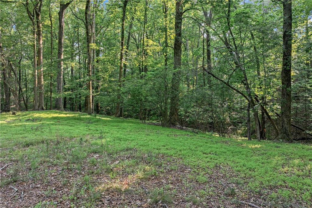 2020 War Hill Park Road